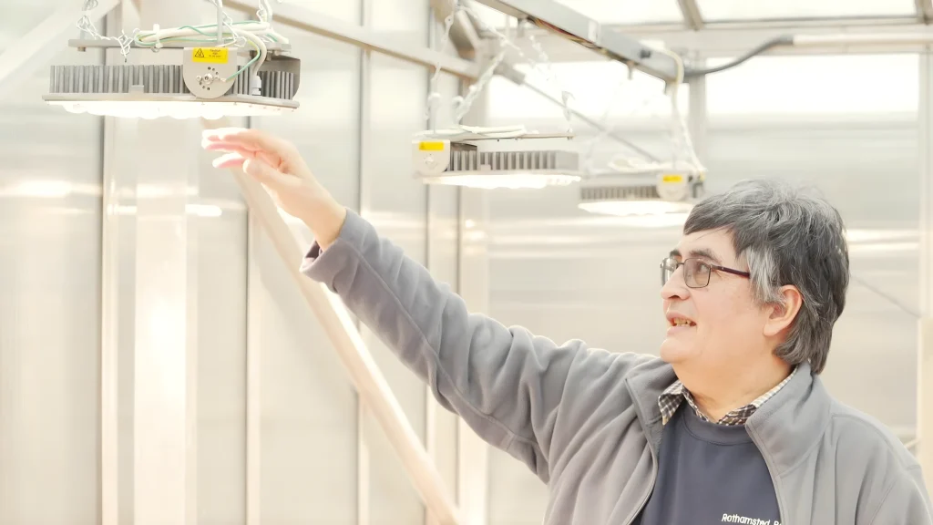 الصورة الرئيسية لمشروع INDO: مصباح النمو ELEMENT LED، Rothamsted