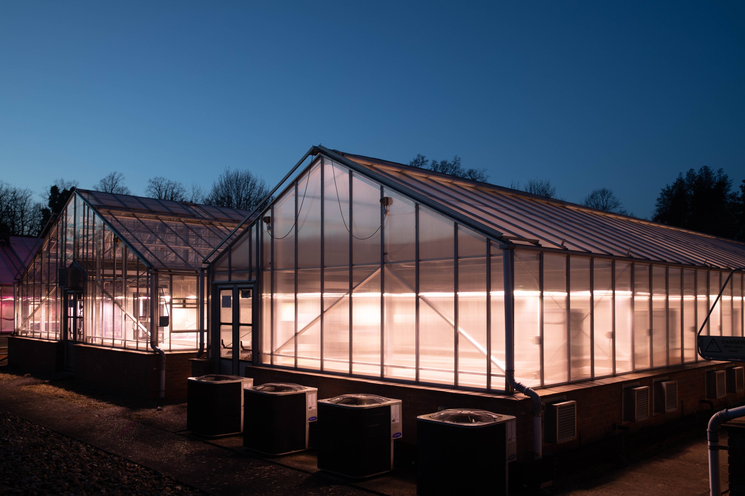 Rothamsted research glasshouses glowing at dusk under INDO ELEMENT grow lights
